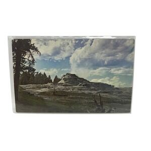 Castle‎ Geyser Cone at Yellowstone National Park Vintage Plastichrome Postcard